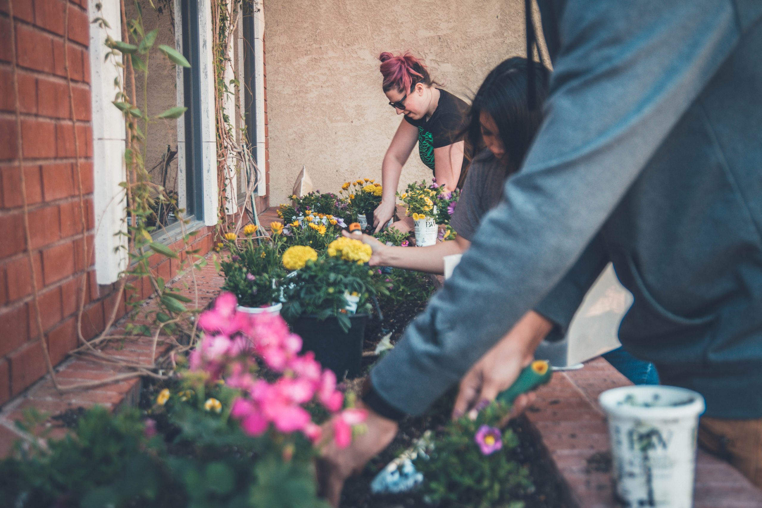 Image of 3 people gardening