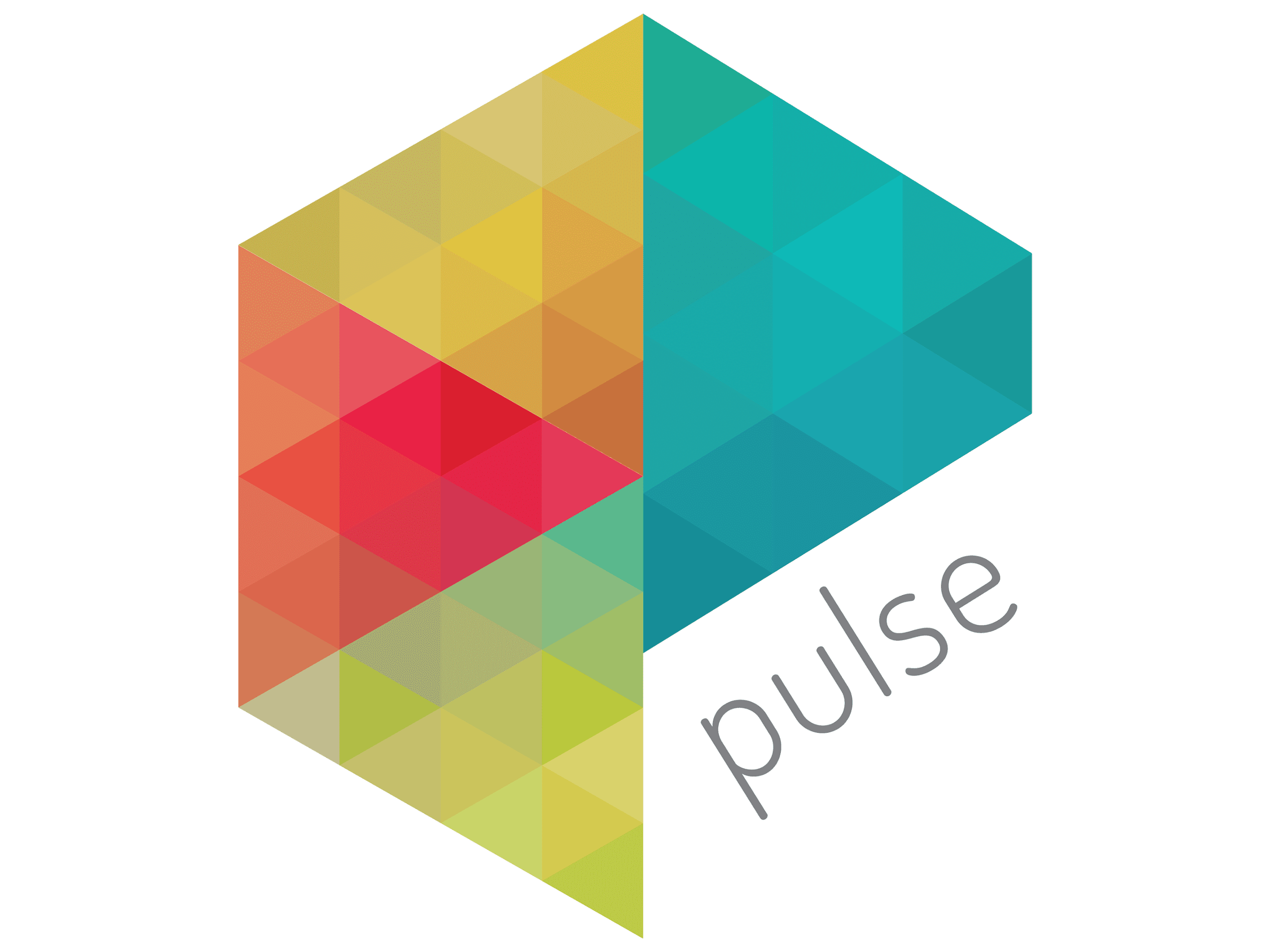 multicolored pixels in triangles shaped to form a hexagon with bottom right but out for the pulse name