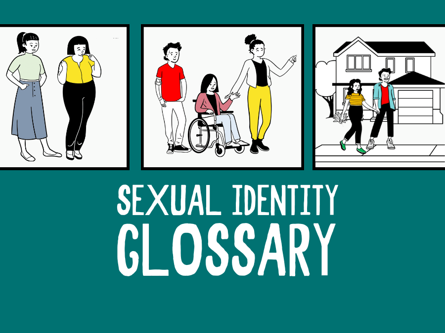 Image of a comic strip with various characters and the title, "Sexual Identity Glossary"