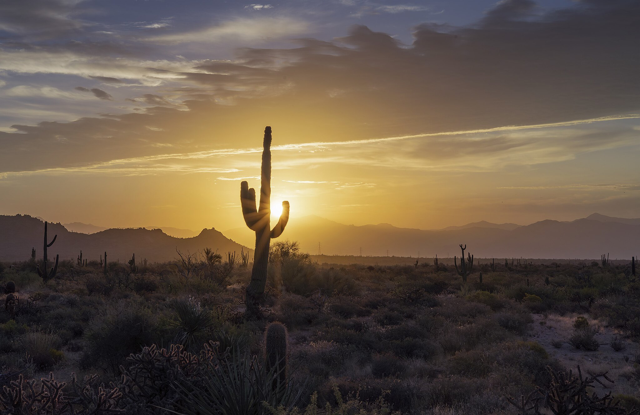 Heat In The Arizona Desert Summer Of 2023